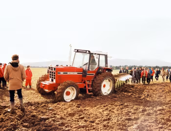 International Harvester 1255 '1979–85
