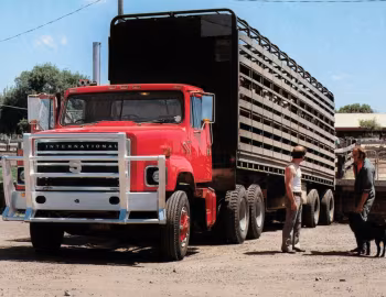 International Harvester S-2600 Tractor [Australia] '1977–????