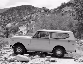 International Harvester Scout II '1979–80