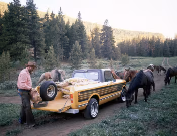 1976 International Harvester Scout II Terra