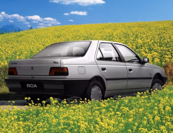 Peugeot Roa '11.2006–13