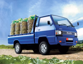 Isuzu Bison Flat Bed '2010–04.2018