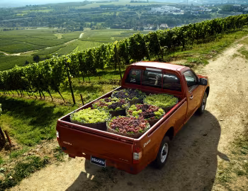 Isuzu D-Max Single Cab '08.2006–10
