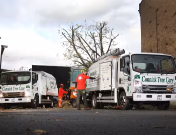 Isuzu Forward N75.190 Utilitruck [UK-spec] '2021