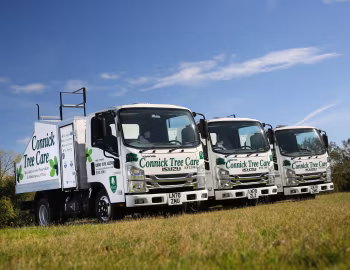 Isuzu Grafter N35.125 Utilitruck [UK-spec] '2020