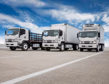 Isuzu FTR with Morgan ProStake platform body, Isuzu FTR with Morgan Gold Star dry freight body, Isuzu FTR with Morgan Cold Star refrigerated body
