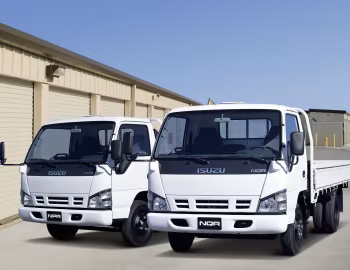 Isuzu NQR, Isuzu NPR Single Cab