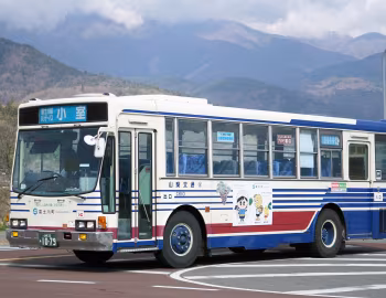 Isuzu P-LV314K '1984–89