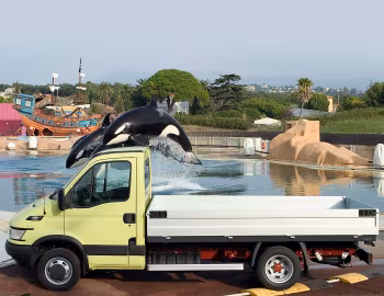 Iveco Daily Chassis Cab '2004–06