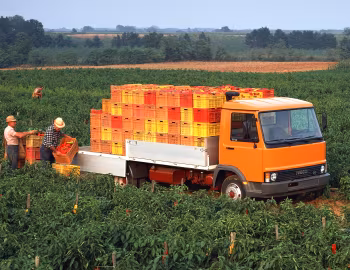 Iveco-OM 79-14 '1982–83