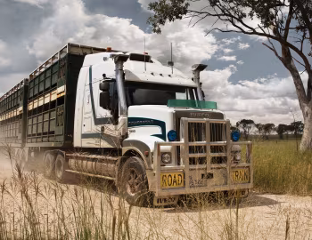 Iveco Powerstar 7800 Roadtrain '2012–pr.
