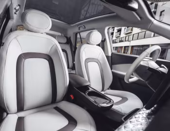 Інтер'єр JAC E30X [EU-spec] '2025–н.ч.