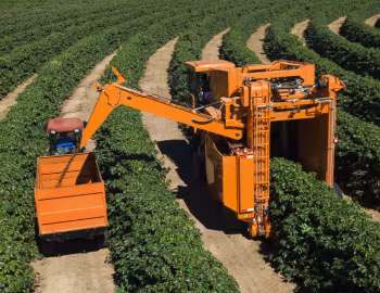 Jacto K 3500 '2019–pr.