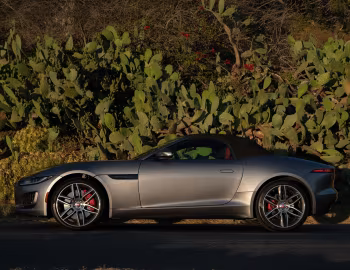 2021–24 Jaguar F-Type P380 AWD R-Dynamic Convertible [North America] '2020–24