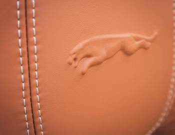 Interior Jaguar F-Type P450 R-Dynamic Convertible [Worldwide] '2020–pr.