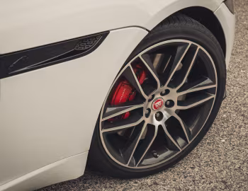 Jaguar F-Type P450 R-Dynamic Convertible [Worldwide] '2020–pr.