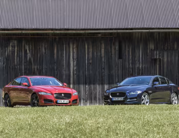 Jaguar