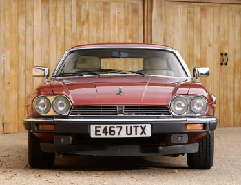 Lynx Eventer '1983–2002