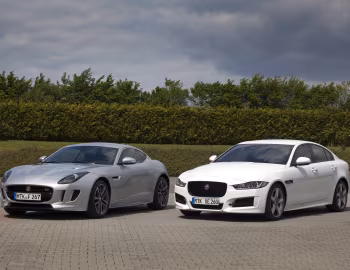 Jaguar