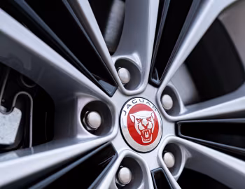 Jaguar XF P300 AWD R-Dynamic [Australia] (X260) '2021–pr.