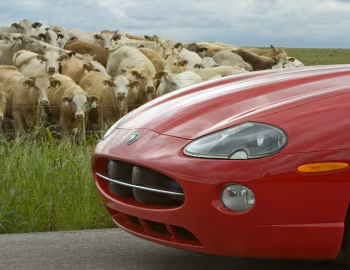 2005 Jaguar XK8 Convertible [North America] (X100) '2004–05