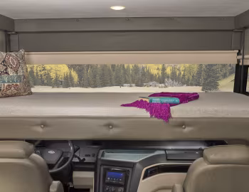 Интерьер 2019–н.в. Jayco Alante 31V