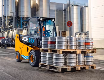 JCB 30-19E '06.2019–pr.