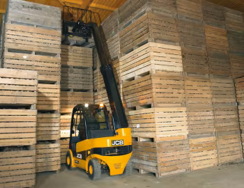 JCB TLT30D '2006–17