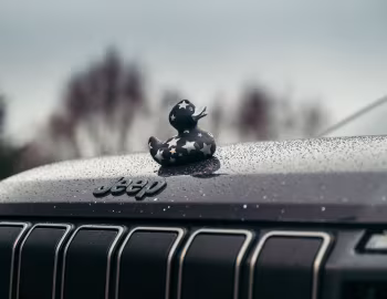 Jeep Avenger Stargazer (516) '12.2025