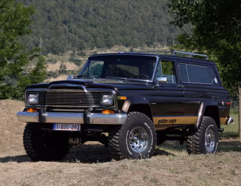 1979–82 Jeep Cherokee Wide-Wheel Golden Eagle Pkg. (17)