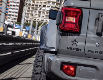 Militem Ferōx (JL) '2019–pr.