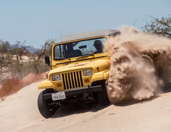 Jeep Wrangler Islander (YJ) '1988–93