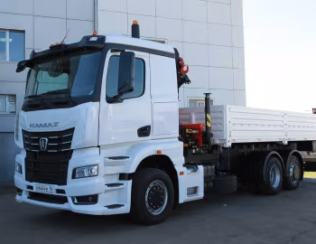 КамАЗ-65658 '2020–pr.