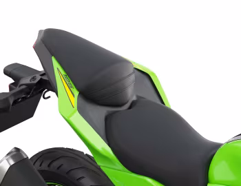 Kawasaki Ninja 125 [EU-spec] '2018–pr.