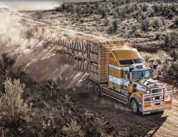 Kenworth C509 '1992–н.ч.