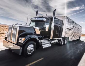 Kenworth W990 '2018–pr.