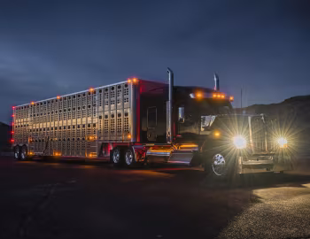Kenworth W990 '2018–pr.