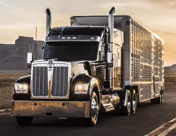 Kenworth W990 '2018–pr.
