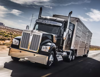Kenworth W990 '2018–pr.