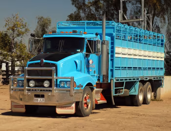 Kenworth T401 '2001–08