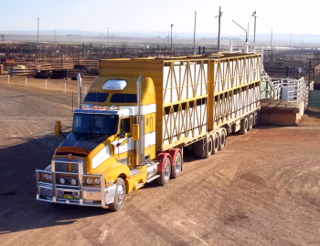 Kenworth T604 [Australia] '1998–2008