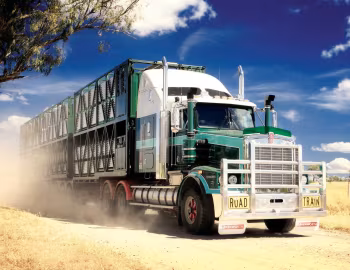 Kenworth T658 '2008–10