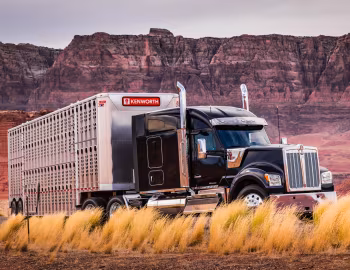 Kenworth W990 '2018–pr.