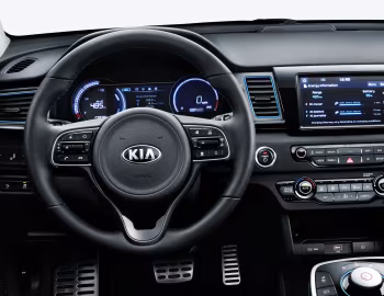Торпедо Kia e-Niro [Worldwide] (DE) '2019–20