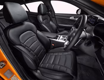 Interior Kia Stinger GT [Australia] (CK) '2020–21