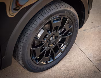 2021 Kia Telluride "Nightfall" '2020–21