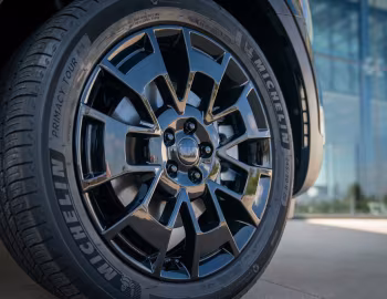 2021 Kia Telluride "Nightfall" '2020–21