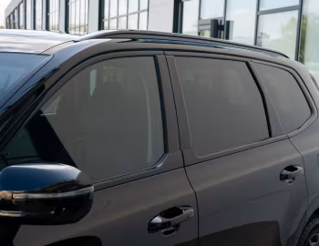 2021 Kia Telluride "Nightfall" '2020–21