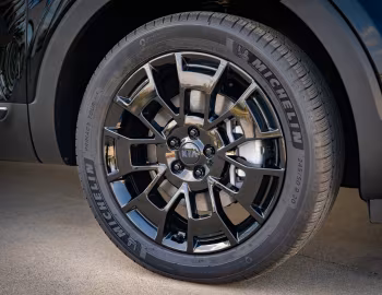 2021 Kia Telluride "Nightfall" '2020–21