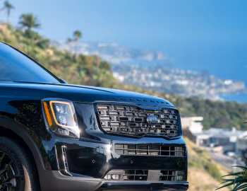 2021 Kia Telluride "Nightfall" '2020–21